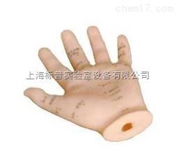 手针灸模型 13CM|中医专科训练模型