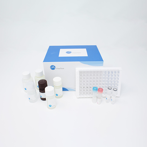 fn-test●EMK0277●猴B細胞活化因子 (Baff)ELISA試劑盒【產品說明書】