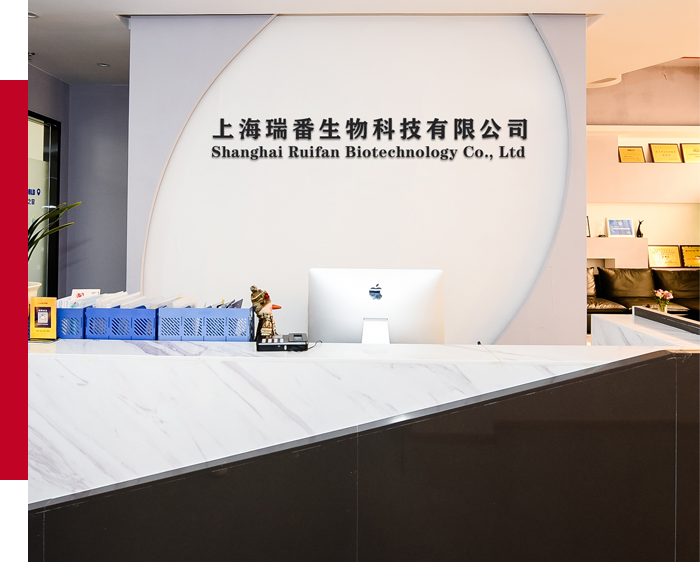 端午節(jié)放假通知