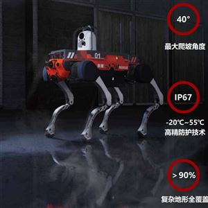 災后現場應急勘查、救援巡航機器狗