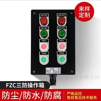 BXK-A4D4工程塑料非標定制防爆控制操作箱