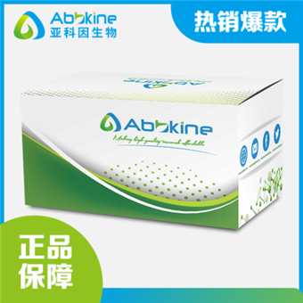 ����С��������������2