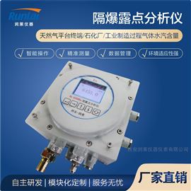 RL-E300型露点仪隔爆露点分析仪多少钱