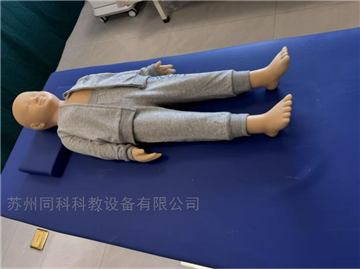 TK/TCM1216C教学儿童针灸模拟人