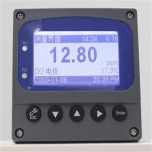 在线溶解氧仪