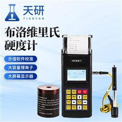 TY-140便攜式布洛維里氏硬度計