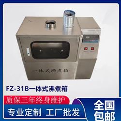 FZ-31B 一体式水泥沸煮箱