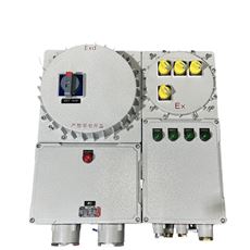 防爆照明动力配电箱 按图纸加工