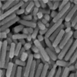 silver nanorods，银纳米棒