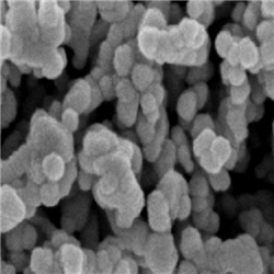 ZnO2 NPs，过氧化锌纳米颗粒