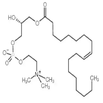 cas：19420-56-5，O-LySoPC