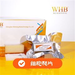 WHB-12-CS-LC多聚赖氨酸12孔板圆形细胞爬片
