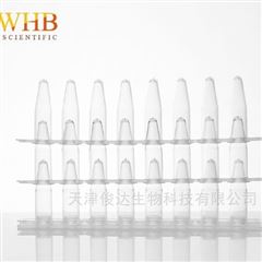 WHB-PCR-01080.1ml PCR八排管（帶熒光定量專用平蓋）