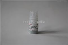 CT0013BOXOID氯霉素藥敏實驗紙片（擴散法） C 30ug
