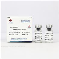 HBJZDL069-1大肠埃希氏菌CMCC(B)44102（定量菌株）