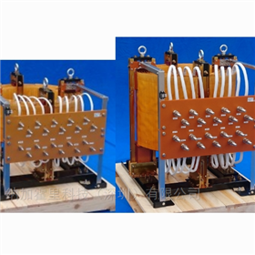 AG1361~AG1366TSC东京精电高电流测试气芯反应堆AG1362