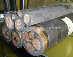 *船用橡膠軟電纜CEFR-1KV-3*95價(jià)格