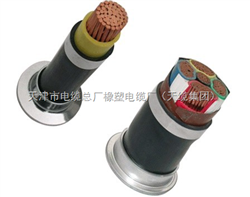 野外用橡套軟電纜YCW-1*300mm2價(jià)格