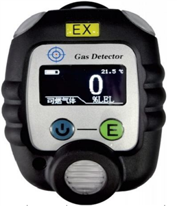 HD600便攜式單一型氣體檢測儀