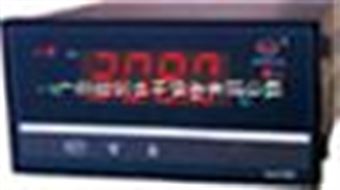 WP-C804-02-12-2H2L-PWP-C804-02-12-2H2L-P数显控制仪