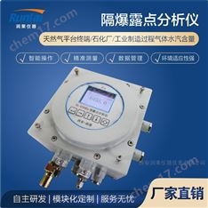 隔爆露點分析儀多少錢
