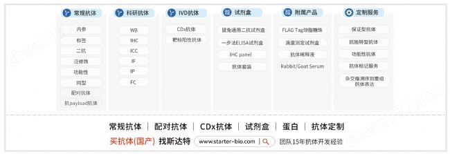 重組小鼠白細胞介素4蛋白