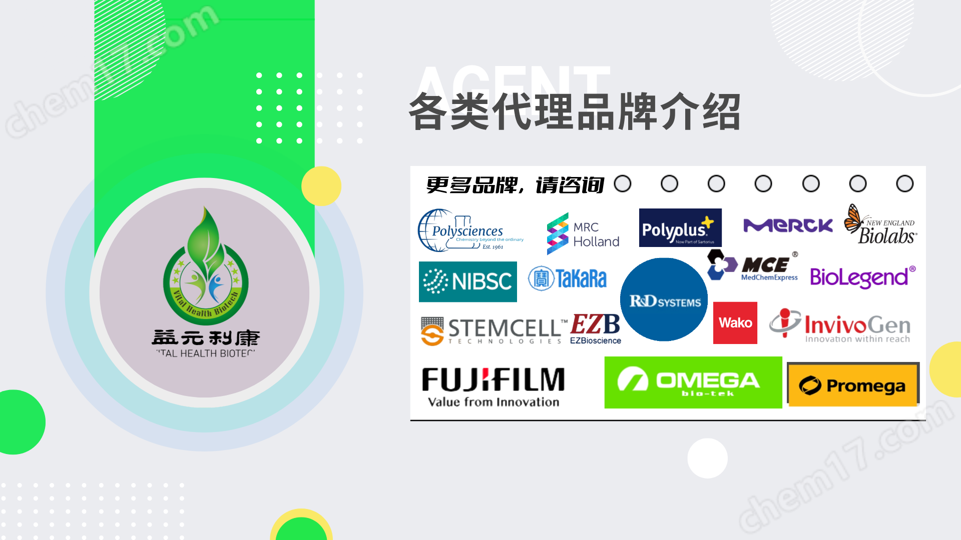 Elabscience抗人CD8a抗體