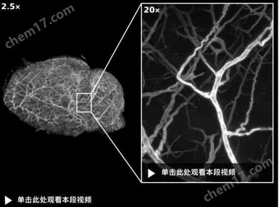 激光片層掃描顯微成像系統 LIGHTSHEET