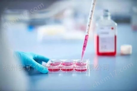 Gibco N-2 添加劑 (100X)5 mL 17502048