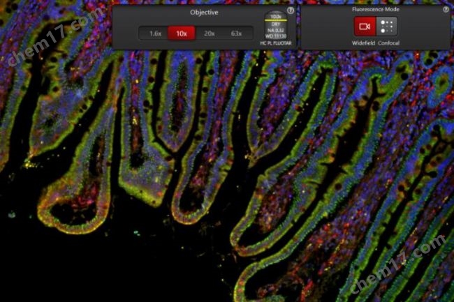 MICA寬焦活細胞 全場景顯微成像分析平臺