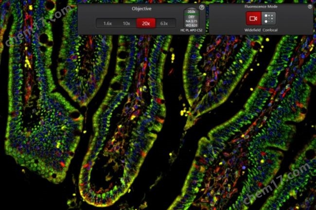 MICA寬焦活細胞 全場景顯微成像分析平臺