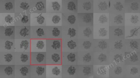 MICA寬焦活細胞 全場景顯微成像分析平臺