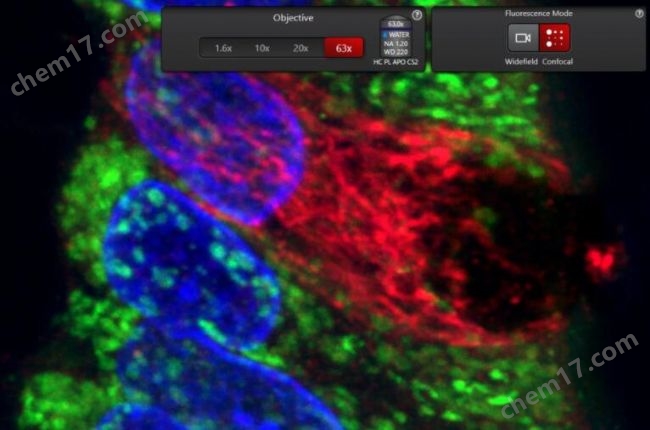 MICA寬焦活細胞 全場景顯微成像分析平臺