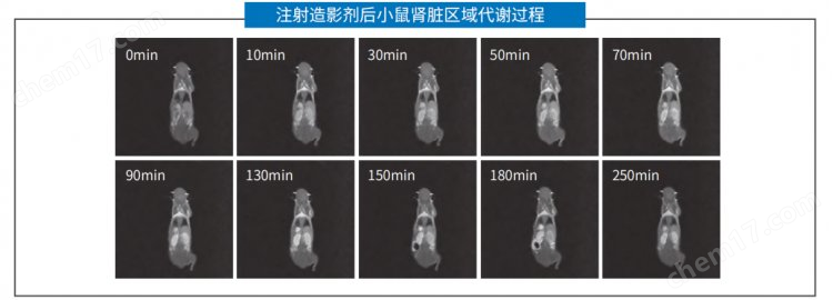 核磁共振小動(dòng)物MRI分析儀