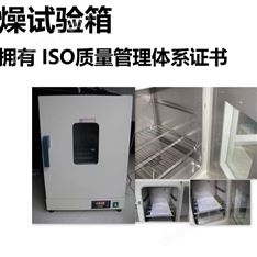 電熱鼓風(fēng)干燥箱