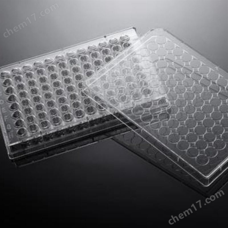 康寧corning細胞培養(yǎng)板 細菌培養(yǎng)板 6孔12孔24孔48孔96孔