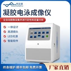 凝膠電泳成像儀