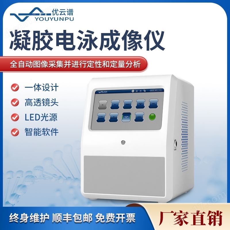 凝膠電泳成像儀