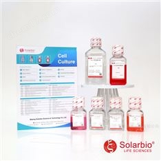 RAJI黑人Burkitt淋巴瘤細胞(培養套裝)