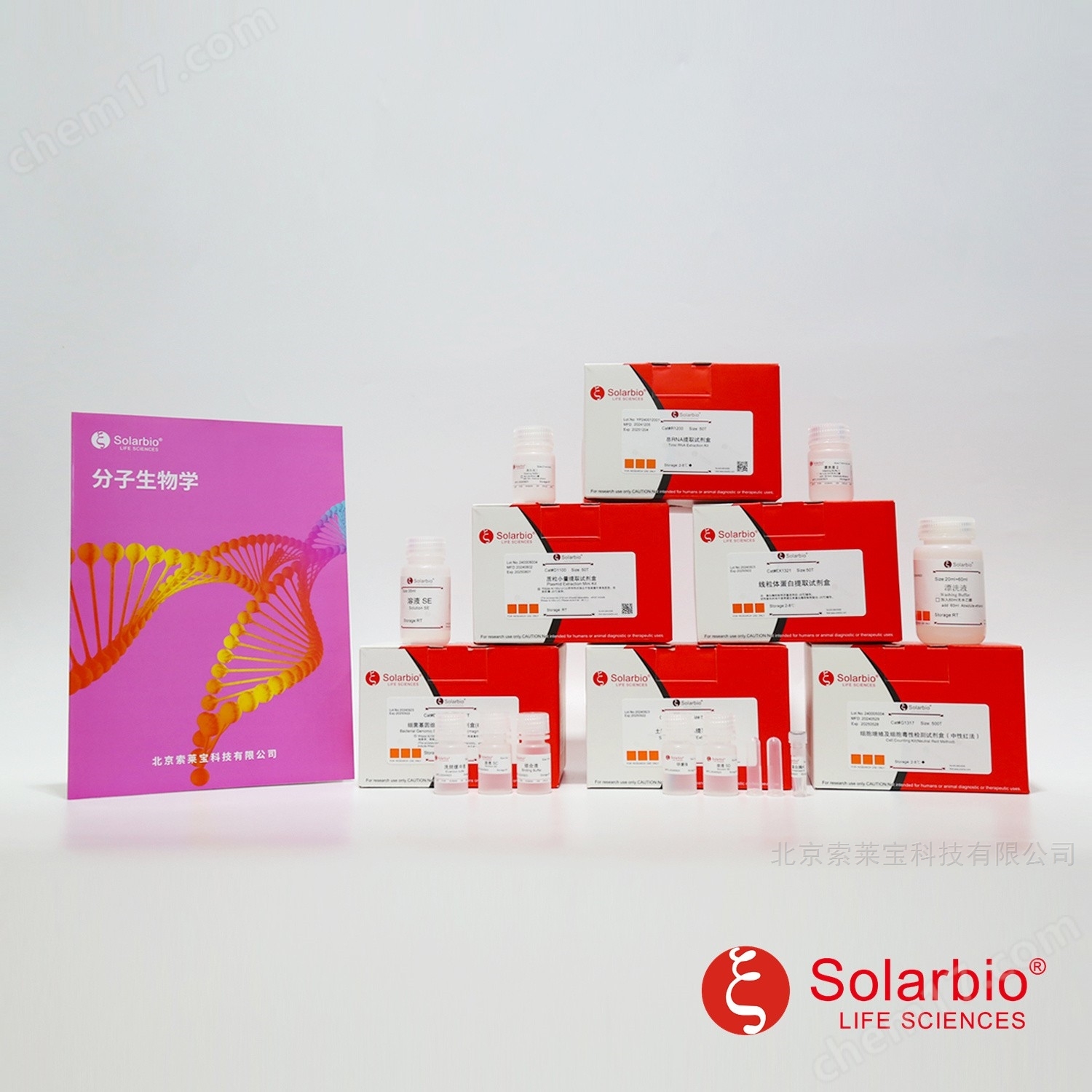 QuickCut快速限制性內(nèi)切酶Spel