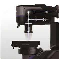 DSX1000顯微鏡生物醫(yī)學(xué)領(lǐng)域跨尺度觀察工具
