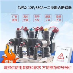 ZW32-12/630A柱上一二次融合真空斷路器雙PT
