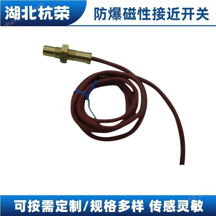 防爆磁性開關(guān)
