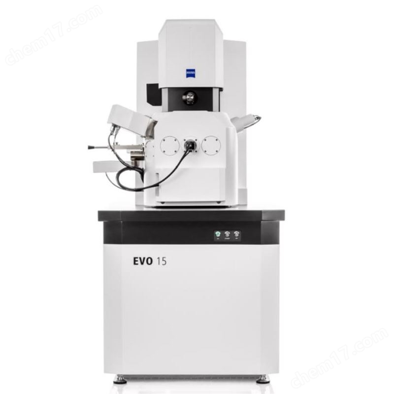 掃描電子顯微鏡