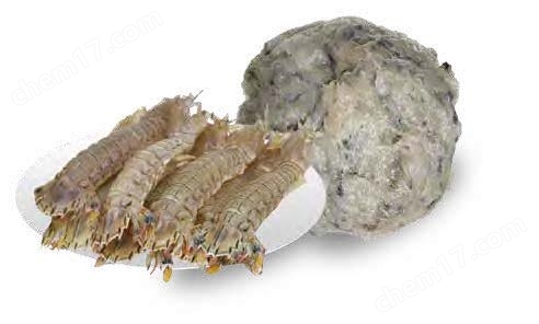 全自动刀式粉碎机