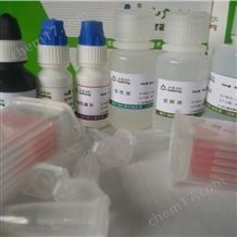 精子形態(tài)學(xué)染色試劑盒