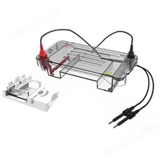 DL-SUB01 水平電泳槽