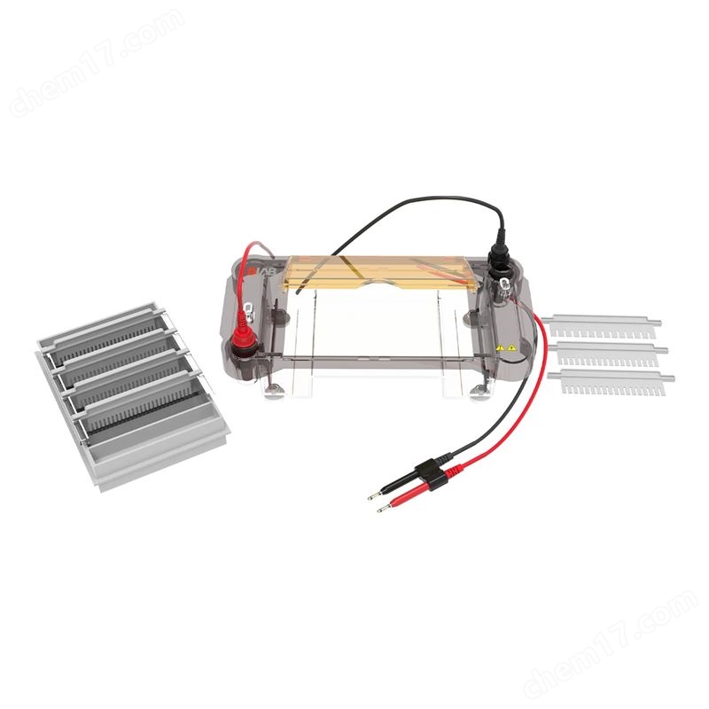 DL-SUB03+ 多功能型藍(lán)光一體水平電泳槽