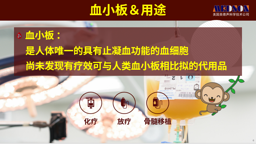 日程表中度可信度描述已自動生成
