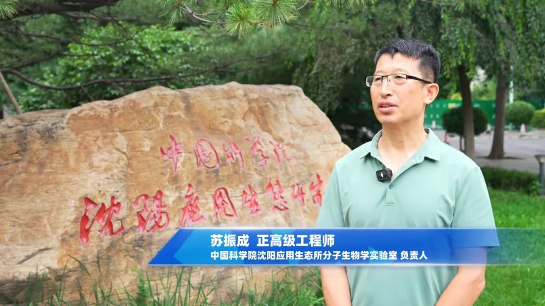 中科院沈陽生態(tài)所攜手國儀量子 打造國產電鏡在生物領域的示范應用